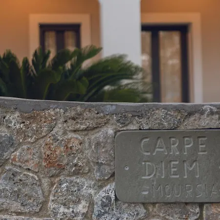 شقة Carpe Diem